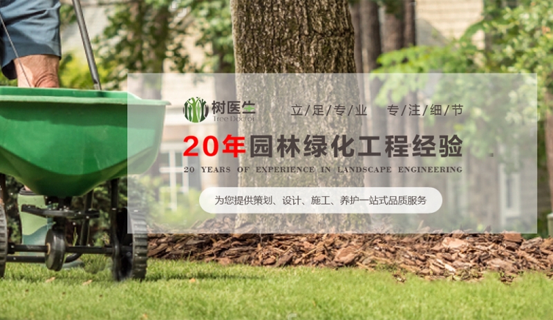 珠海环保推广型程序开发哪家好